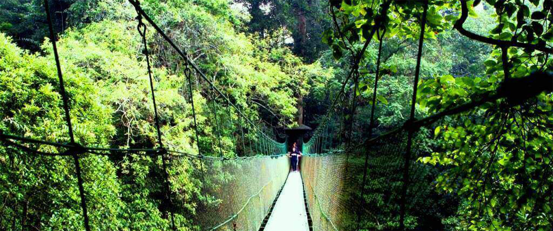 Canopy Trail TNGGP Cimacan